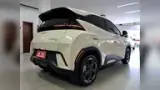 BYD Dolphin Mini - Miniatura 5