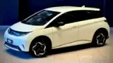 BYD Dolphin - Miniatura 1