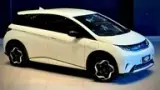 BYD Dolphin - Miniatura 7