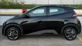 BYD Dolphin Mini - Miniatura 5
