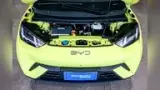 BYD Dolphin Mini - Miniatura 5