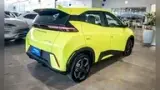 BYD Dolphin Mini - Miniatura 8