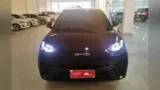 BYD Dolphin Mini - Miniatura 1