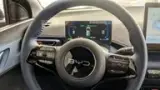 BYD Dolphin Mini - Miniatura 5