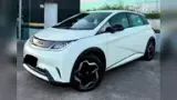BYD Dolphin Plus - Miniatura 2