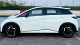 BYD Dolphin Plus - Miniatura 5