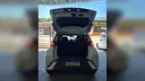 BYD Dolphin Mini - Miniatura 6