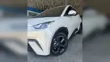 BYD Dolphin Mini - Miniatura 7