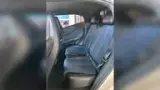 BYD Dolphin Mini - Miniatura 8