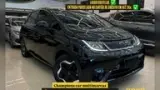 BYD Dolphin - Miniatura 1