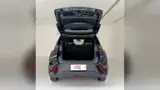 BYD Dolphin Mini - Miniatura 3
