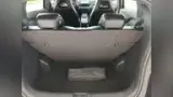 BYD Dolphin Mini - Miniatura 7
