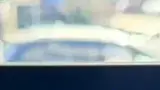 BYD Dolphin - Miniatura 9