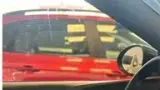 BYD Dolphin Mini - Miniatura 9