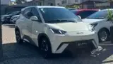 BYD Dolphin Mini - Miniatura 3