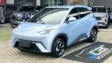 BYD Dolphin Mini - Miniatura 1
