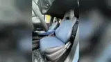 BYD Dolphin Mini - Miniatura 7