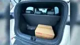 BYD Dolphin - Miniatura 15