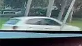 BYD Seal - Miniatura 6