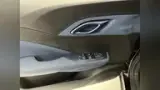 BYD Dolphin Mini - Miniatura 4