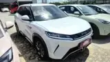 BYD Yuan Pro - Miniatura 1