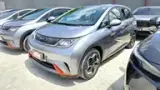 BYD Dolphin - Miniatura 5