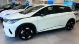 BYD Dolphin Plus - Miniatura 4