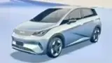 BYD Dolphin Plus - Miniatura 17