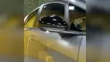 BYD Dolphin - Miniatura 8