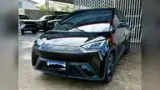 BYD Dolphin Mini - Miniatura 1