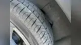 BYD Dolphin Mini - Miniatura 3