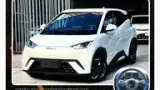 BYD Dolphin Mini - Miniatura 1