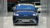 BYD Dolphin Mini - Miniatura 2