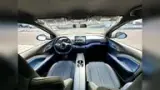 BYD Dolphin Mini - Miniatura 15