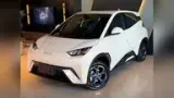 BYD Dolphin Mini - Miniatura 3