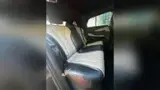 BYD Dolphin - Miniatura 10