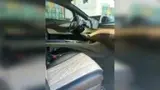 BYD Dolphin - Miniatura 14