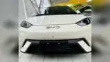 BYD Dolphin Mini - Miniatura 1