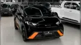 BYD Dolphin Mini - Miniatura 1