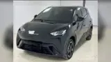 BYD Dolphin Mini - Miniatura 1