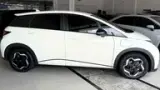 BYD Dolphin Plus - Miniatura 2