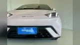 BYD Dolphin Mini - Miniatura 2
