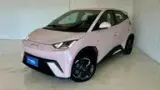 BYD Dolphin Mini - Miniatura 3