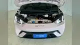 BYD Dolphin Mini - Miniatura 7