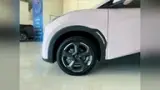 BYD Dolphin Mini - Miniatura 8