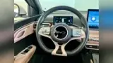 BYD Dolphin Mini - Miniatura 15