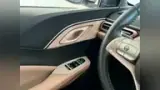 BYD Dolphin Mini - Miniatura 20