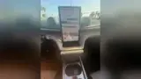 BYD Dolphin - Miniatura 8