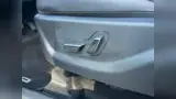 BYD Dolphin - Miniatura 17