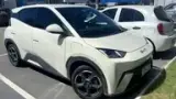 BYD Dolphin Mini - Miniatura 1